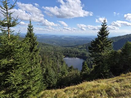 Fotografija s spletne strani Wollomator na poti