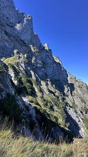 Foto von Mountain Cat ? ⛰️ entlang der Tour