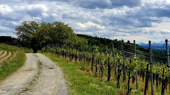 Photo de Elisabeth Vonarburg le long du parcours