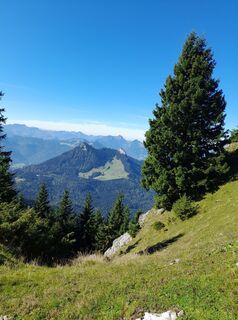 Fotografia z Mueller P Aschau na trase