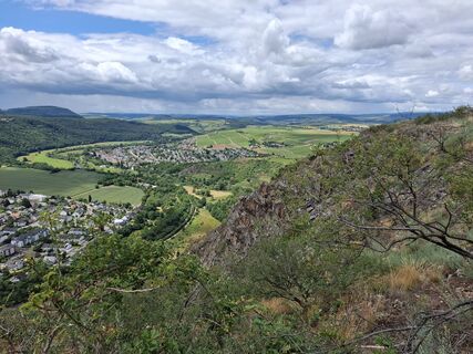 Foto von nordbergschnecke entlang der Tour
