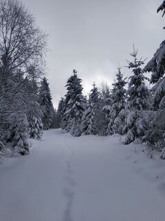 Fotografia z Wolfgang0 na trase