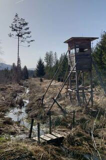 Foto de Guenther Hahn a lo largo del recorrido
