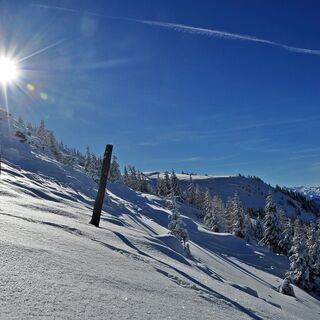 Winterlandschaft