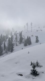 Foto från Klaus Lehner under resans gång