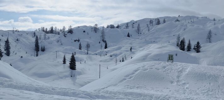 Fotografija s spletne strani veronika bozic na poti