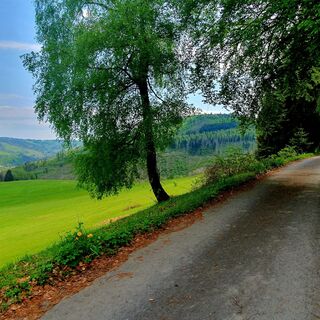 Blick ins Zoptetal