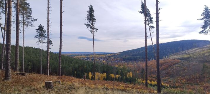 Foto da Betzenbergfex lungo il tour