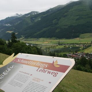 Schautafel am Weg