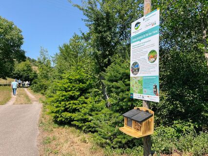 Erlebnis-Lehrpfad für Familien zum Klimawandel in Oberwolfach