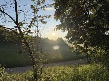 Photo de Schaali le long du parcours