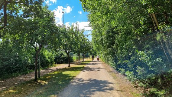 Naturschutzgebiet Kipshagener Teiche in Schloß Holte-Stukenbrock
