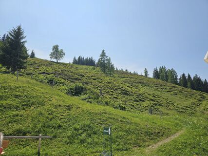 Foto von Marianne Unterrainer entlang der Tour