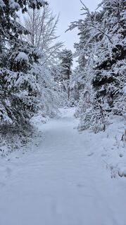 Fotografija s spletne strani Claudia Maurer na poti