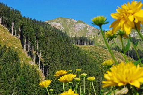 Zeiritzkampel über Achneralm mit Abstieg zum Zeiritztörl