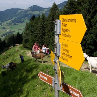 © Zürioberland Tourismus