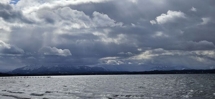 Photo de garrincha le long du parcours