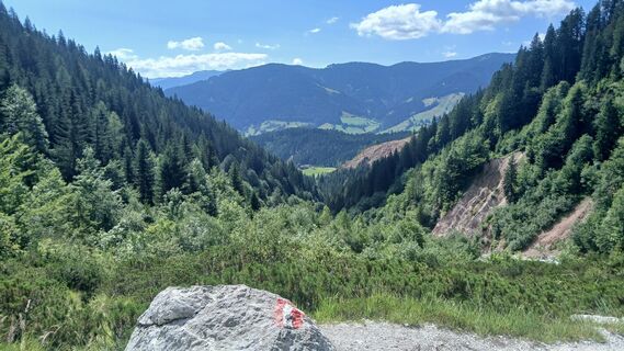 Foto von Fantom RoK entlang der Tour