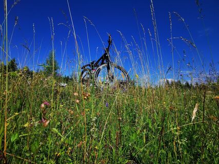 Mit dem Mountainbike auf der Mariazeller Bürgeralpe