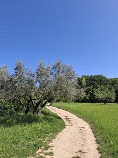 Foto från Andi under resans gång