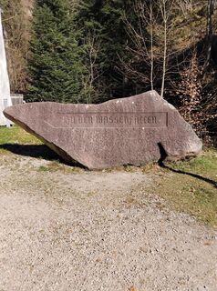 Fotografia z Woiwode na trase