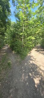Photo de Hieu Duc Tram (Tudoi61) le long du parcours