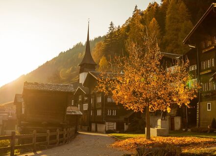Bergdorf Niederwald