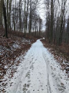 Foto von King-Ironimus Colbert entlang der Tour