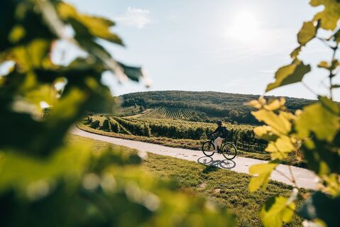 Auf zwei Rädern durch idyllische Weingärten