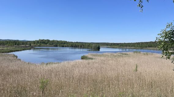 Fotografia z Gerhard Wipplinger na trase
