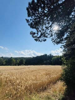 Fotografia z RS76 na trase