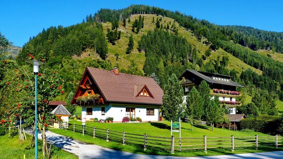 Appartements zur Gams