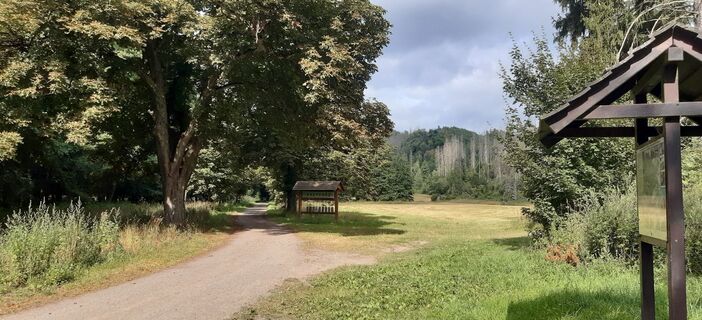 Photo de Norbert le long du parcours