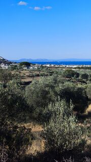 Fotografija s spletne strani CPQS na poti