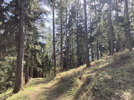 Foto von Moonytiger entlang der Tour