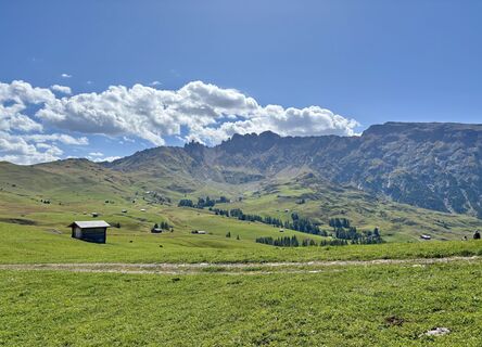 Photo de Irene Duitshof le long du parcours