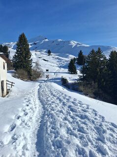 Fotografie z Marco Pezzuolo na trase