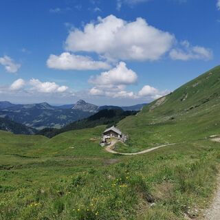 Gappenfeldalpe