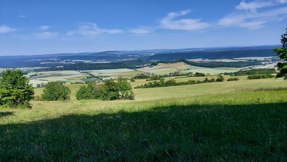Foto von Wollomator entlang der Tour