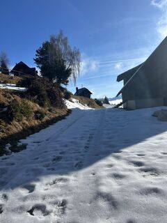 Zdjęcie z Carola Krems wzdłuż trasy