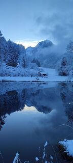 Fotografija s spletne strani Ineswanki na poti