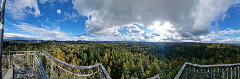 Foto von Claudia Fürling entlang der Tour