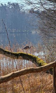 Fotografija s spletne strani schwanst na poti