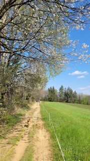 Fotografia z Juliane Jarke na trase