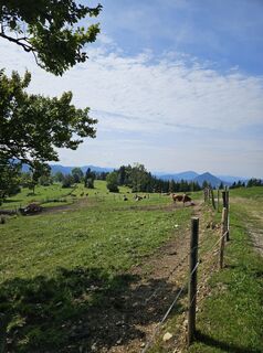 Foto von Elisabeth Wecer entlang der Tour