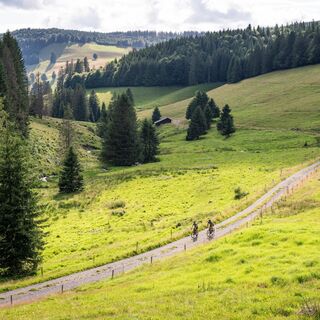 Gravelbike im Tal