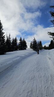 Fotografia z Paula Heichinger na trase