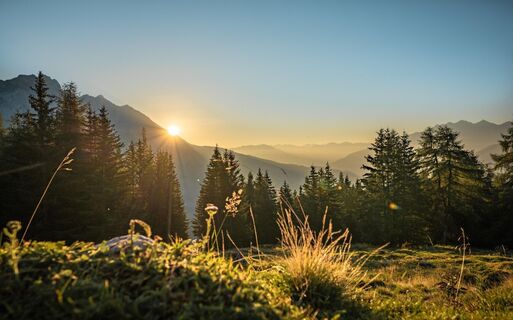Ganatsch Alpe