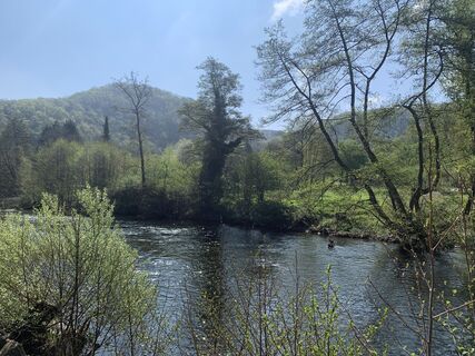 Fotografia z Arthur Konietzko na trase