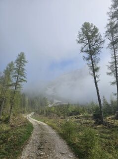 Photo de Florian le long du parcours